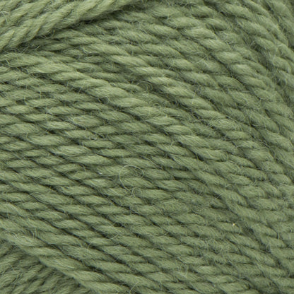 Patons Classic Wool Worsted Yarn Meadow