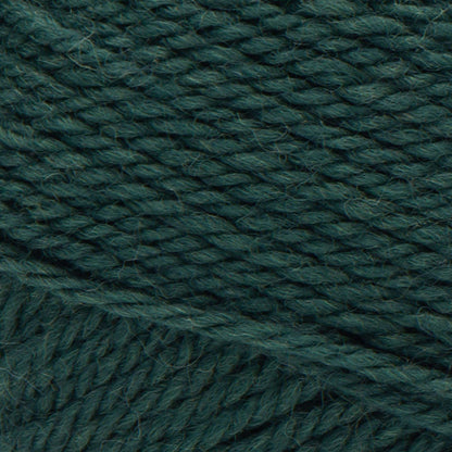 Patons Classic Wool Worsted Yarn Pine
