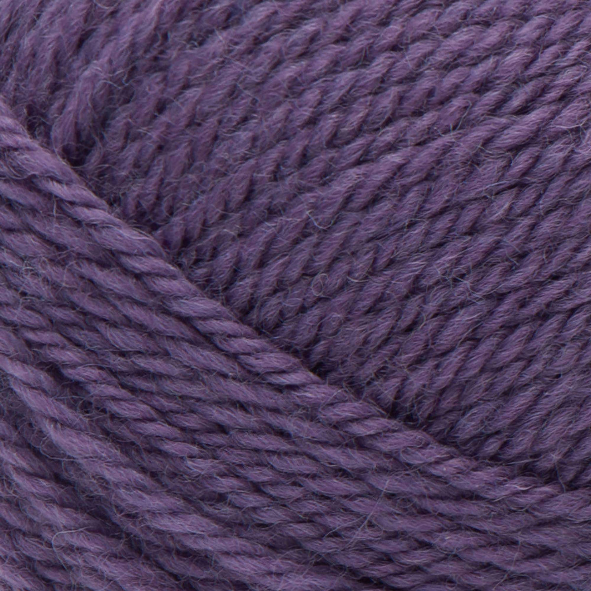 Gray Plum