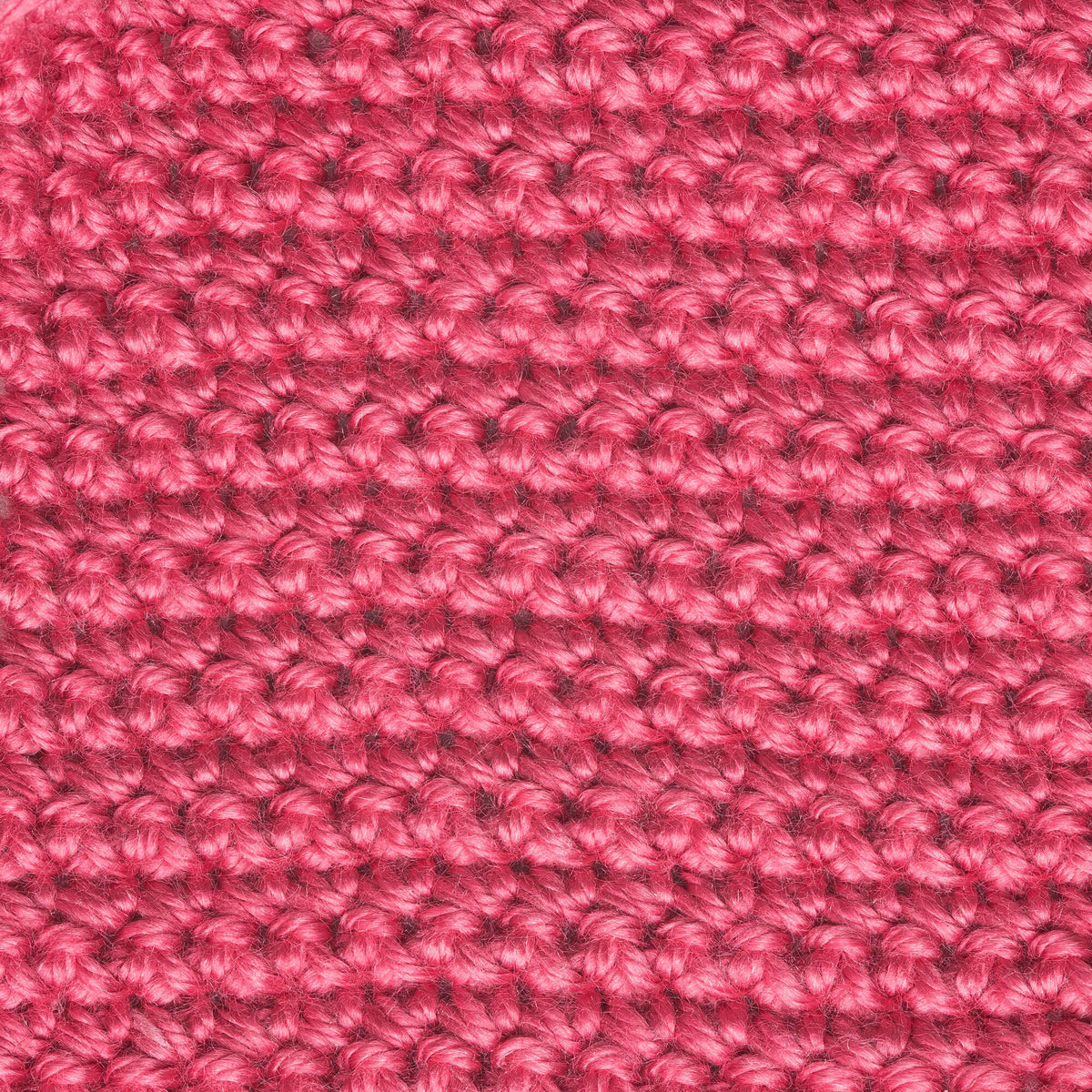 Petunia Pink