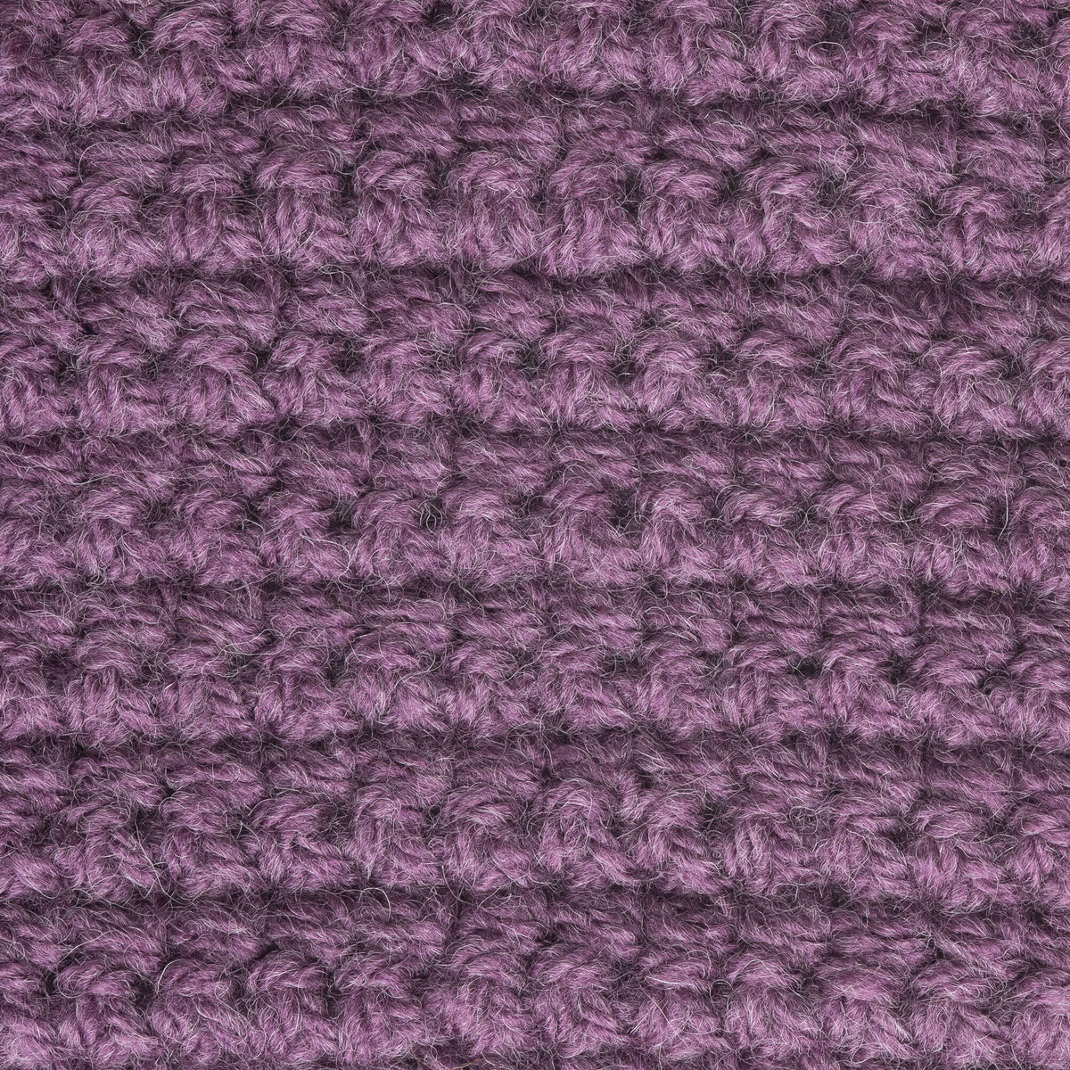 New Lilac