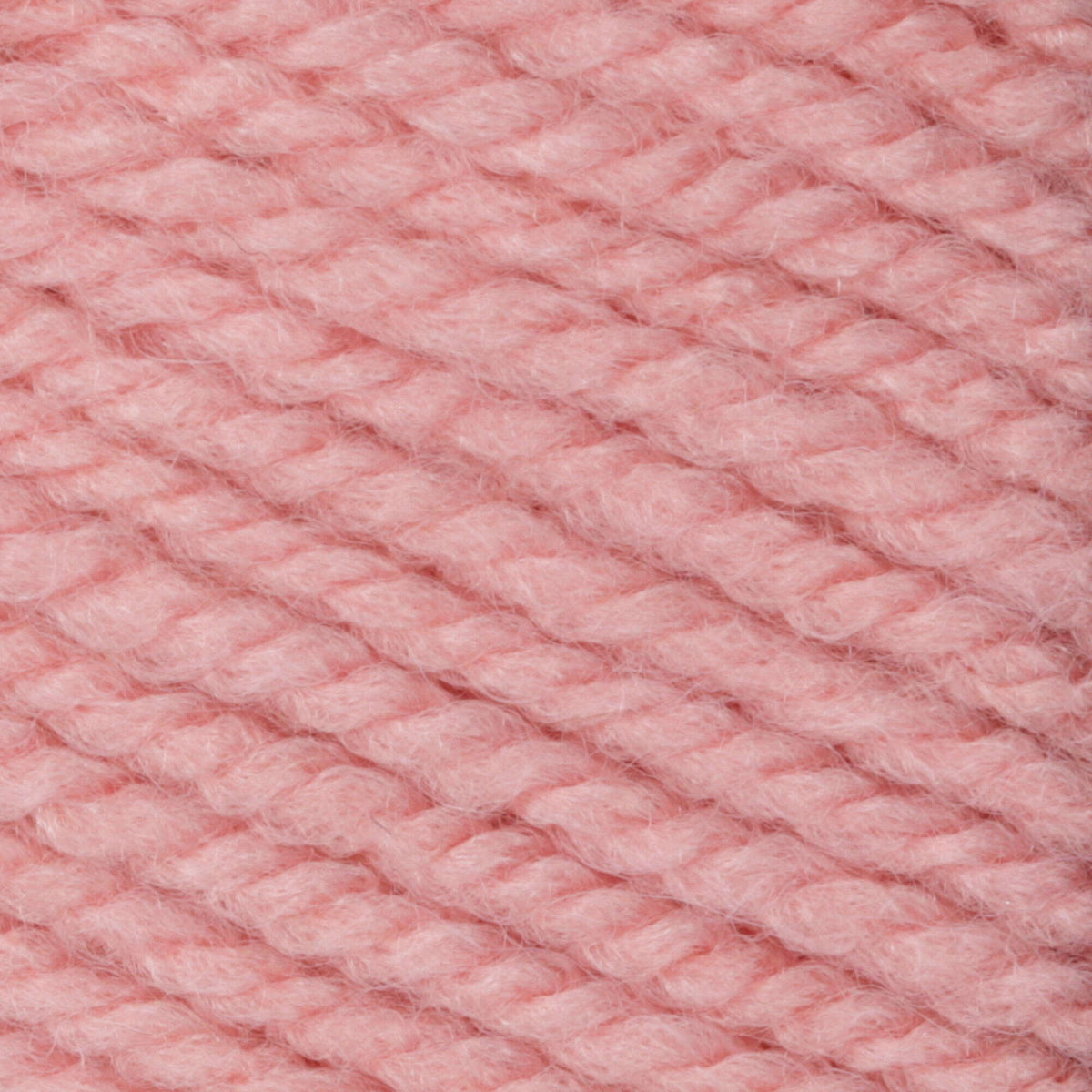 Pale Rose