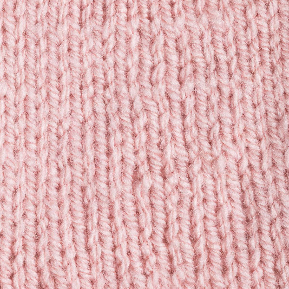 Pale Rose