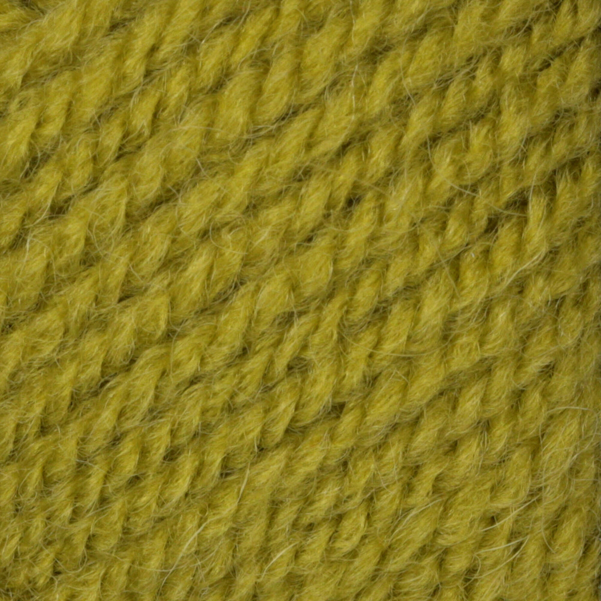 Frond
