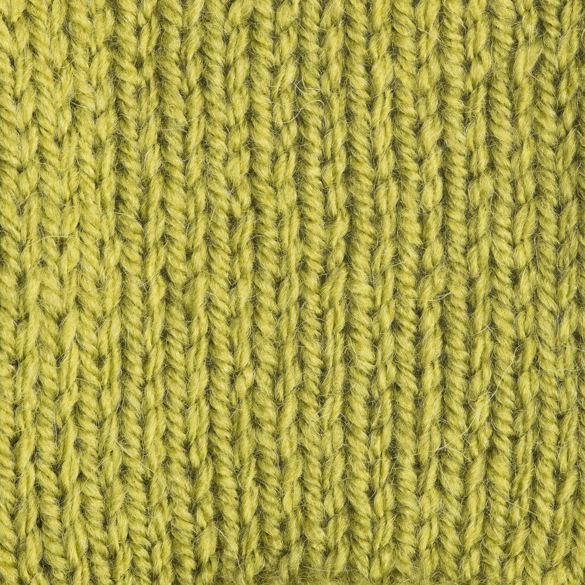 Frond