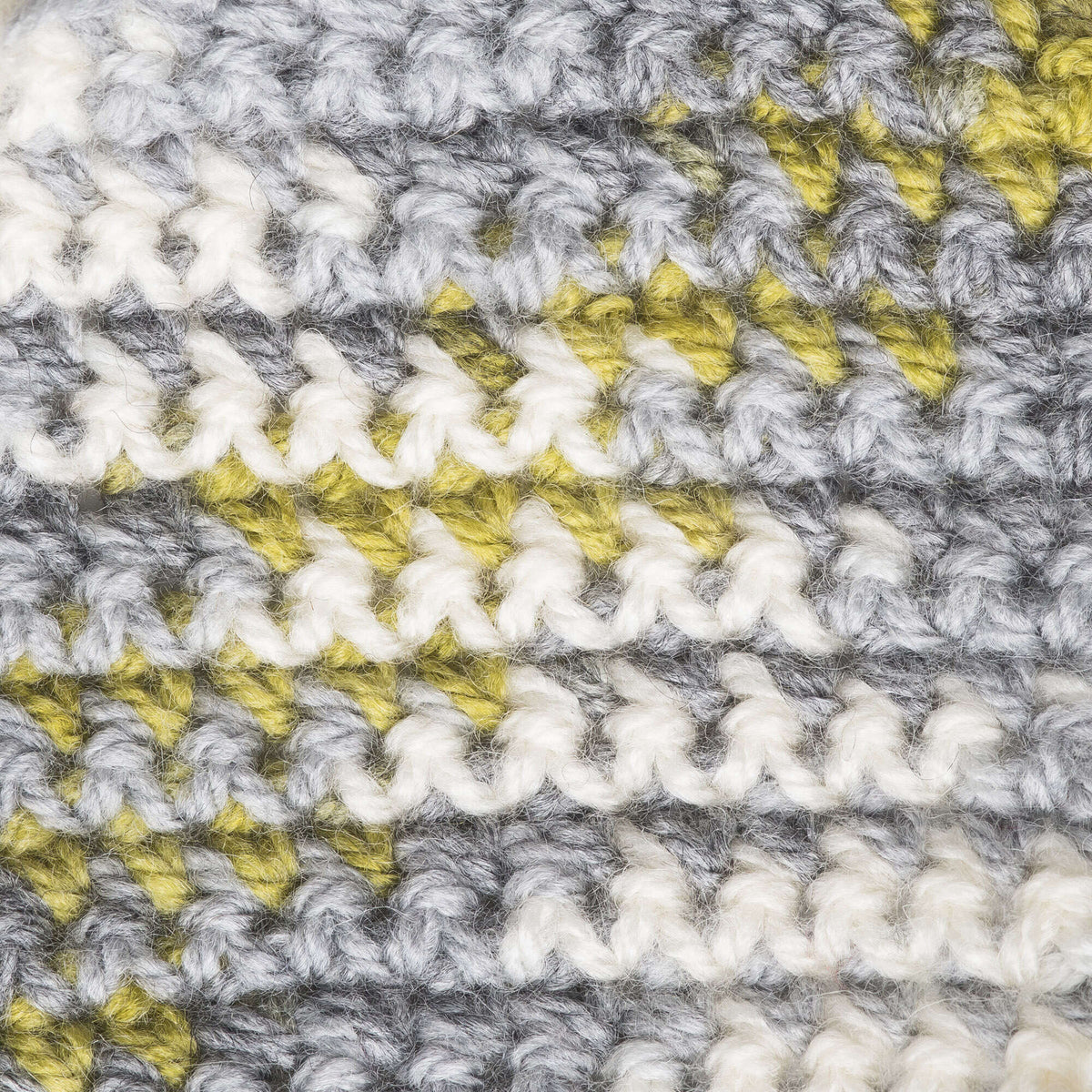 Frond Variegated