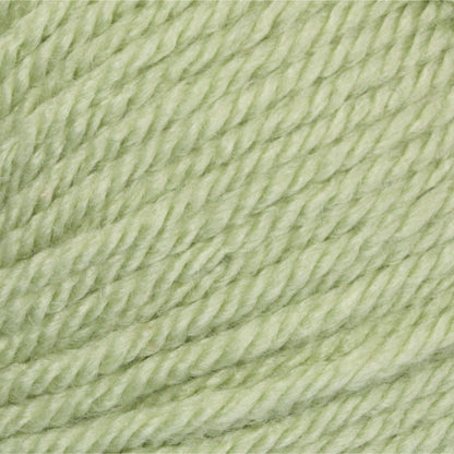 Patons Canadiana Yarn Cherished Green