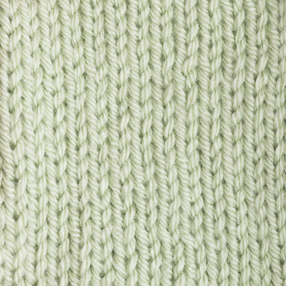 Patons Canadiana Yarn Cherished Green