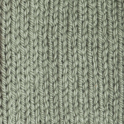Patons Canadiana Yarn Medium Green Tea