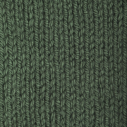 Patons Canadiana Yarn Dark Green Tea