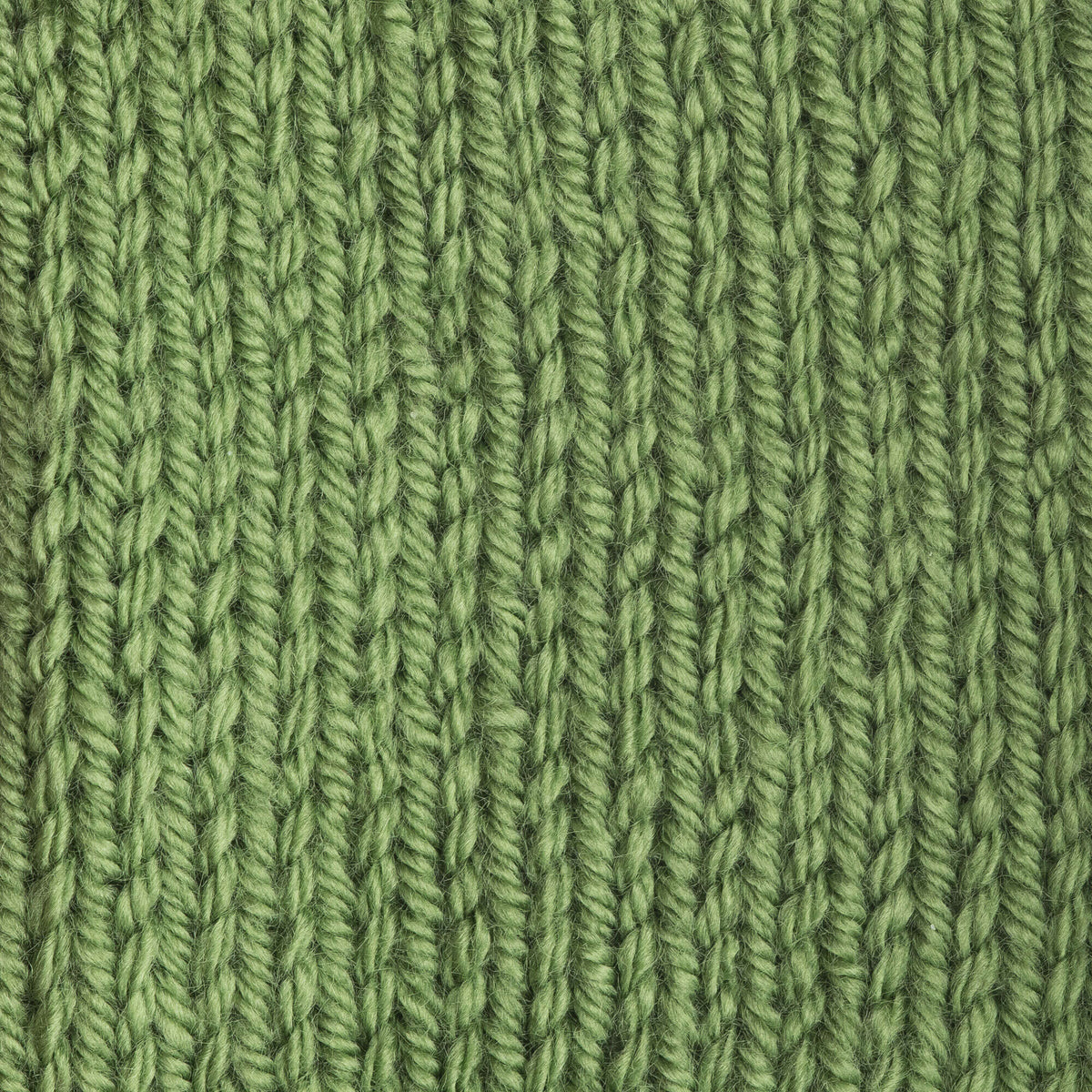 Cedar Green