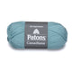 Pale Teal