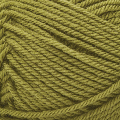 Patons Canadiana Yarn Spring Green