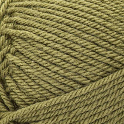 Patons Canadiana Yarn Moss