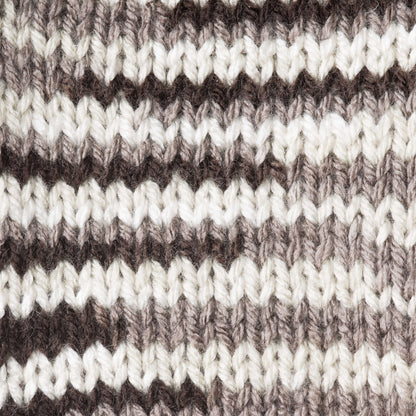 Patons Canadiana Variegates Yarn - Discontinued Shades Toffee Crunch Variegated
