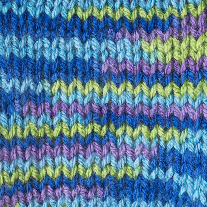 Patons Canadiana Variegates Yarn - Discontinued Shades Happy Camper Variegated
