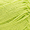 Lime Punch