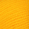 School Bus Yellow
