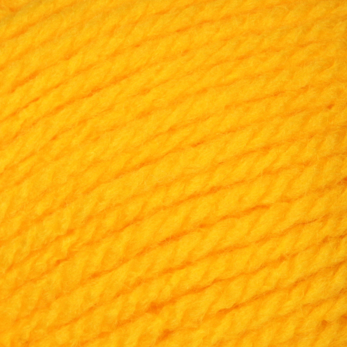 School Bus Yellow