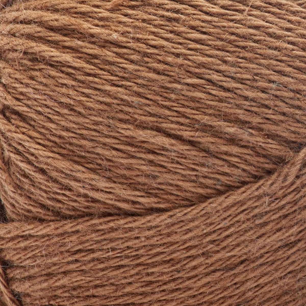 Cedar