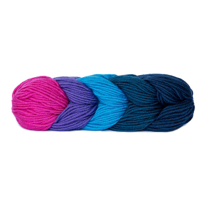 Caron x Pantone Yarn - Discontinued Shades Dance Party