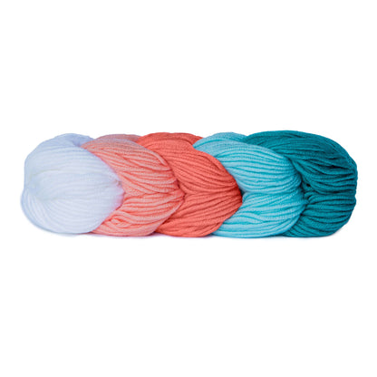 Caron x Pantone Yarn - Discontinued Shades Lovely Coral