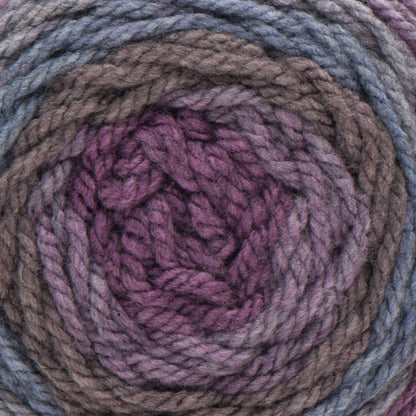 Caron Tea Cakes Yarn Winterberry