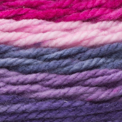 Caron Chunky Cupcakes Yarn Blackberry Sorbet