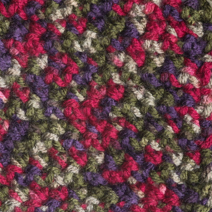 Caron Jumbo Yarn - Discontinued Shades Perennial Variegate