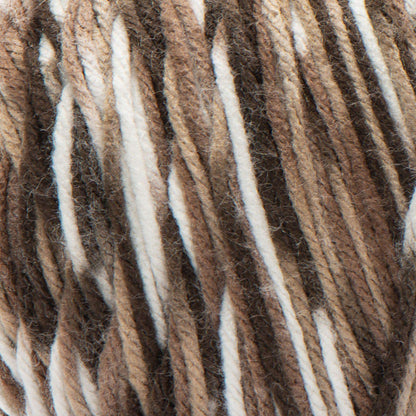 Caron Jumbo Yarn - Discontinued Shades Chocolate Variegate