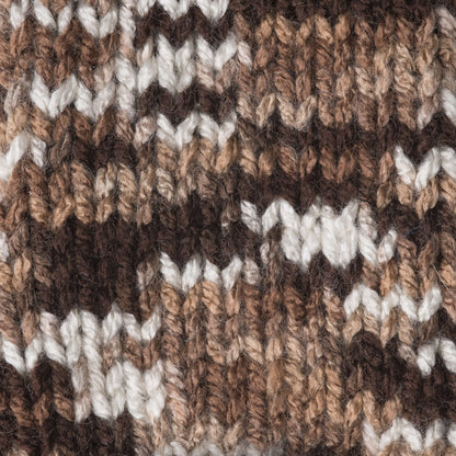 Caron Jumbo Yarn - Discontinued Shades Chocolate Variegate