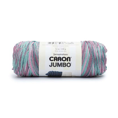 Caron Jumbo Yarn - Discontinued Shades Russian Sage