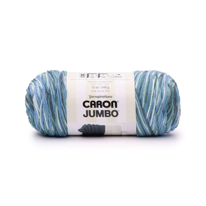 Caron Jumbo Yarn - Discontinued Shades Seafoam