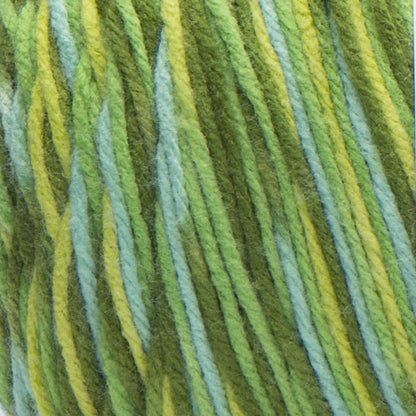 Caron Jumbo Yarn - Discontinued Shades Foliage