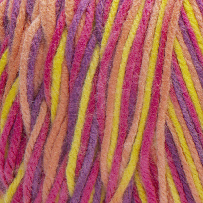 Caron Jumbo Yarn - Discontinued Shades Zinnias