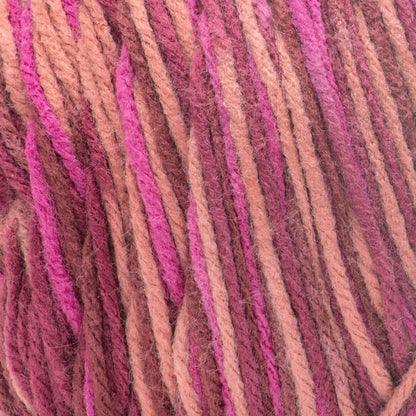 Caron Jumbo Yarn - Discontinued Shades Picnic