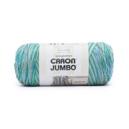Caron Jumbo Yarn - Discontinued Shades Lush