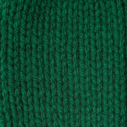 Caron One Pound Yarn (454g/16oz) Kelly Green