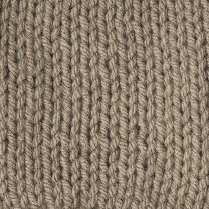 Caron One Pound Yarn (454g/16oz) Taupe
