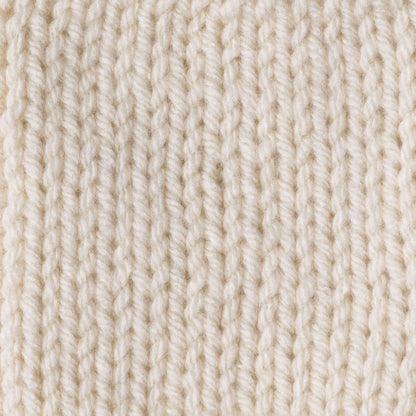 Caron One Pound Yarn (454g/16oz) Off White