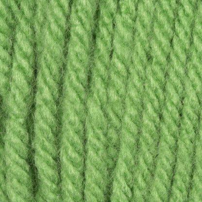 Caron One Pound Yarn (454g/16oz) Grass Green