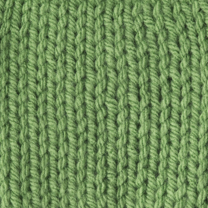 Caron One Pound Yarn (454g/16oz) Grass Green