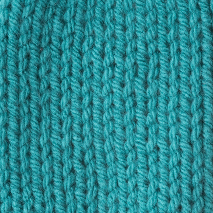 Caron One Pound Yarn (454g/16oz) Aqua