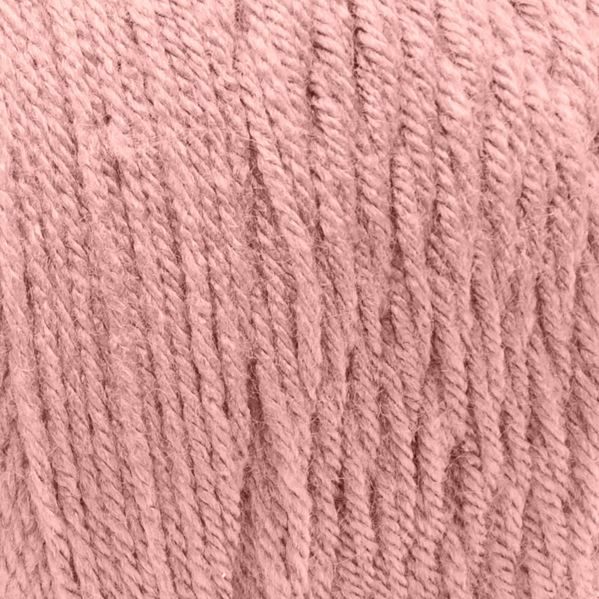 Coral Blush