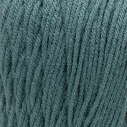 Caron One Pound Yarn (454g/16oz) Hosta