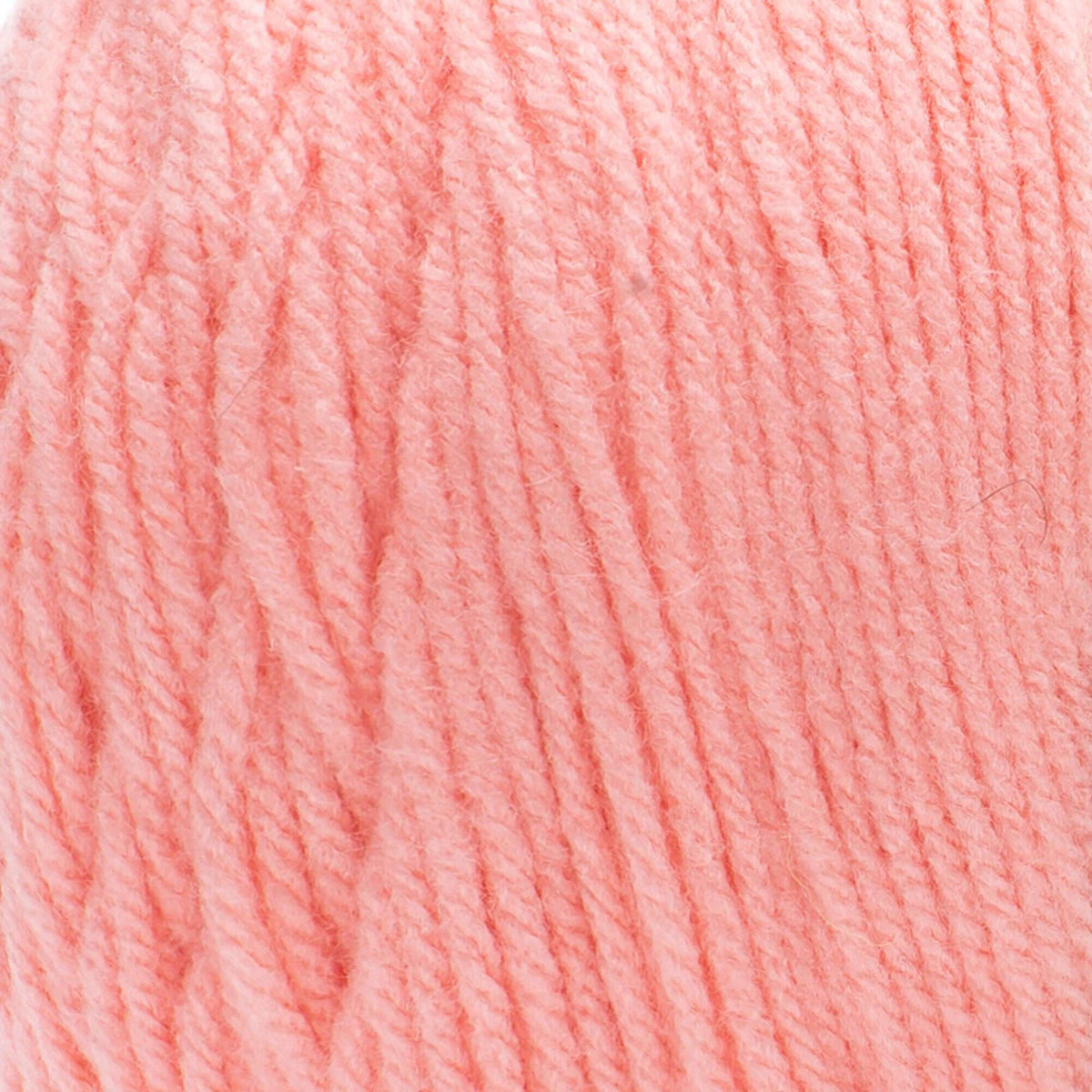 Coral Rose