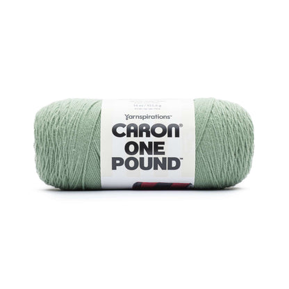 Caron One Pound Yarn (454g/16oz) Succulent