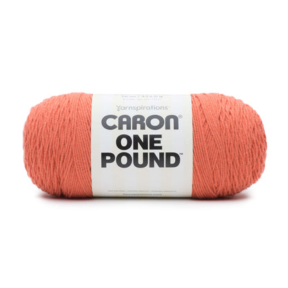 Caron One Pound Yarn (454g/16oz) Light Terracotta