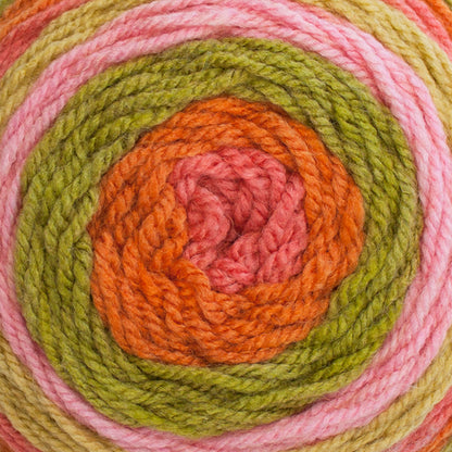 Caron Cakes Yarn (200g/7oz) Strawberry Kiwi