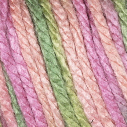 Caron Simply Soft Paints Yarn Rose Garden